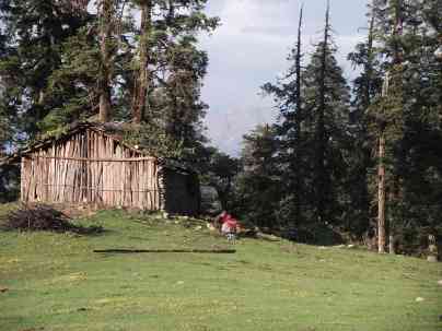 Gujars' hut